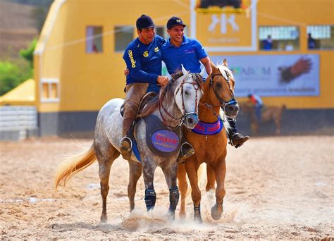 Vaquejada Impulsiona O Crescimento Do Cavalo Quarto De Milha No Nordeste