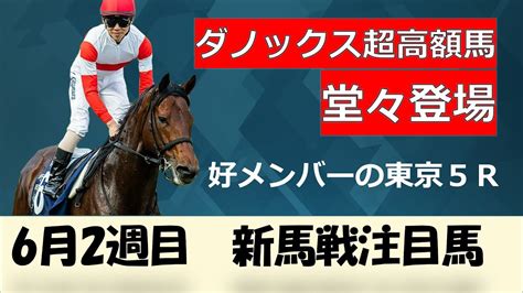 2023新馬戦 6月2週目新馬戦注目馬紹介、調教で猛時計を記録した超高額馬など好メンバーの新馬戦 Youtube