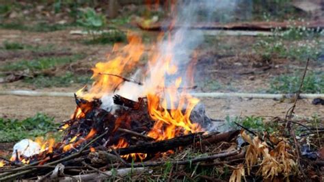 Aturan Baru Resmi Berlaku Bakar Sampah Sembarangan Bakal Didenda Rp 50