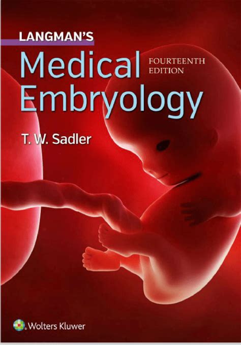 Langman S Medical Embryology Th Edition Isbn