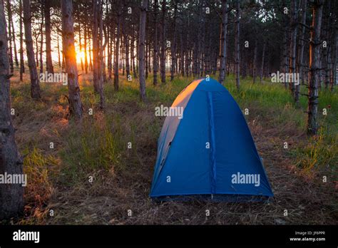 Camping Tent In The Forrest Stock Photo Alamy