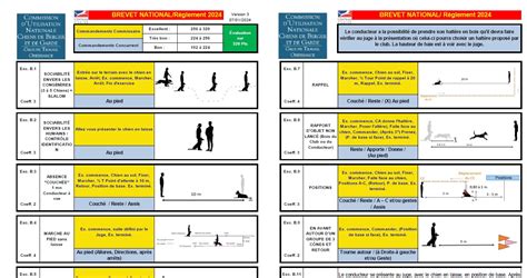 Fiches de terrain Société Centrale Canine