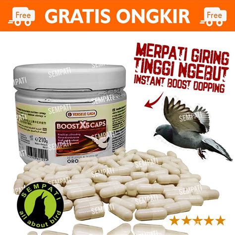 Jual Boost X5 Caps Versele Laga Pil Vitamin Doping Burung Merpati