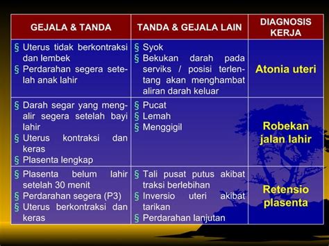 04 Perdarahan Pasca Persalinan Ppt