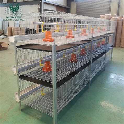 Poultry Farm Equipment Hot Dip Galvanized H Type Tiers Broiler Cage