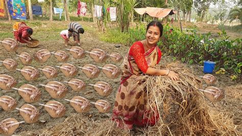 সুন্দরবনের গ্রামীণ পদ্ধতিতে কাদা মাটিতে আলুর চাষ Youtube