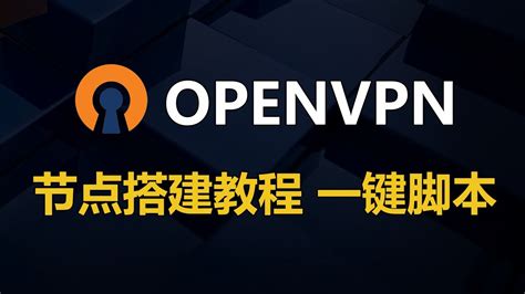 Openvpn节点服务器搭建，一键安装脚本，客户端在windows Macos Ios 和 Android 上可用 Youtube