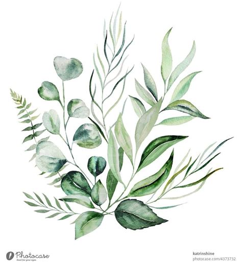 Watercolor Botanical Green Leaves Bouquet Illustration A Royalty Free