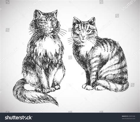 Two Cats Realistic Drawing Professional High: стоковая векторная ...