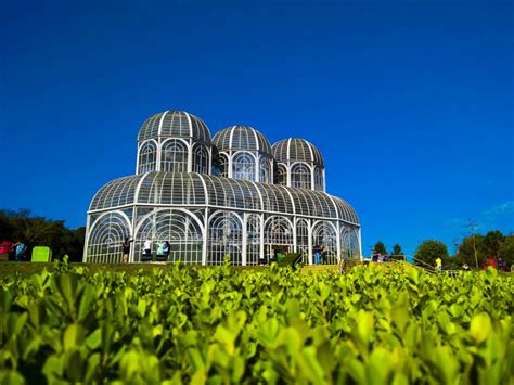 Jardim Nico De Curitiba Vale A Pena Quais Os Pr S E Contras