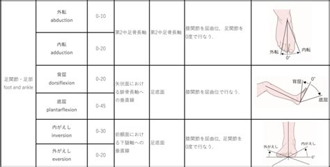 関節可動域表示ならびに測定法改訂｜2022年4月改訂 理学療法士・作業療法士・言語聴覚士の求人、セミナー情報なら【post】