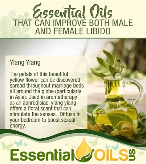 Essential Oils To Increase Sex Drive