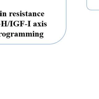 Schematic Representation Of Hypothetical Regulatory Pathways