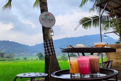 Daya Tarik Tempat Kuliner Tepi Sawah Coffee And Food Di Serang Banten