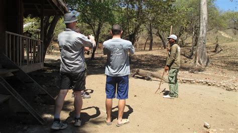 Fullday Komodo Speedboat Tour Komodo Island Tour Package