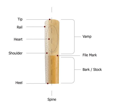 Sax And Clarinet Reed Buying Guide Mickleburgh Musical Instruments