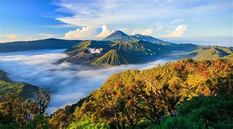 Kintamani Tour Package Bali Tour Creator