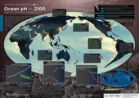 Report Ocean Acidity Is Increasing Rapidly