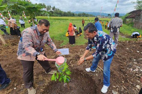 Lestarikan Lingkungan PGN Tanam Seribu Bibit Pohon Di Kulon Progo