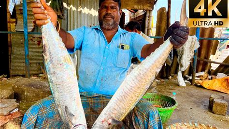 Vanjaram Fish Cutting Video Fishcuttingrs Fish Kasimedu Fishcuttingrs