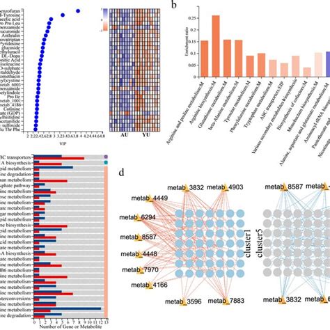 Integrated Analysis Of Metabolomics And Transcriptomics In Young And