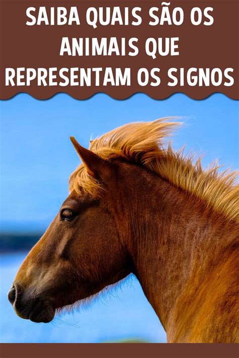 Animais Que Representam Cada Um Dos Signos Em 2020 Animais Signos