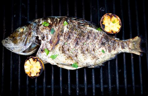 The Top Cookware For Grilling Perfectly Flaky Fish Housekeepingmaster