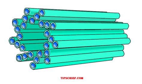 Diagram Of Centriole