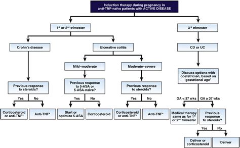 Figure 1 From The Toronto Consensus Statements For The Management Of