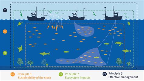 KORAL Coalition For Sustainable Fisheries And Marine Affairs