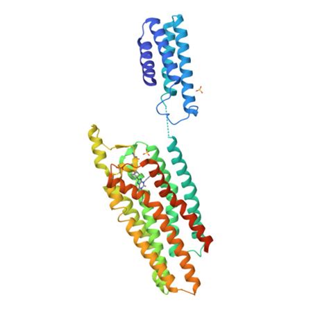 RCSB PDB 5N2S Crystal Structure Of Stabilized A1 Receptor In Complex