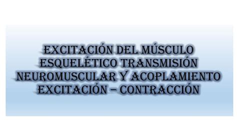 Excitación del músculo esquelético transmisión neuromuscular y