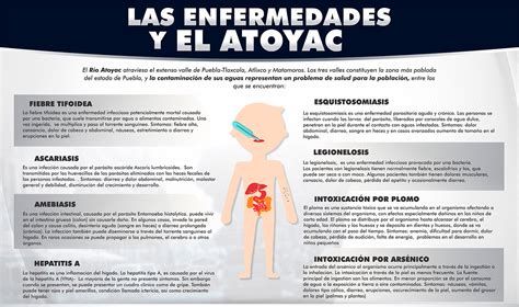 ¿cuáles Son Las Enfermedades Causadas Por La Contaminación We School