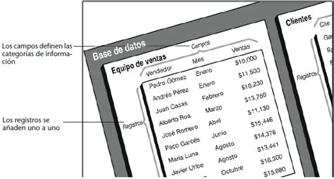 Conceptos B Sicos De Bases De Datos