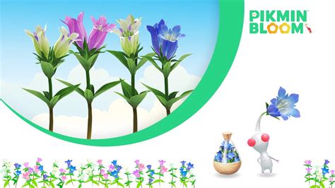 Pikmin Bloom Desvela Sus Planes Para Octubre De Nintenderos