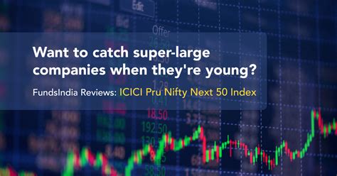 Fundsindia Reviews Icici Pru Nifty Next 50 Index Fundinsights