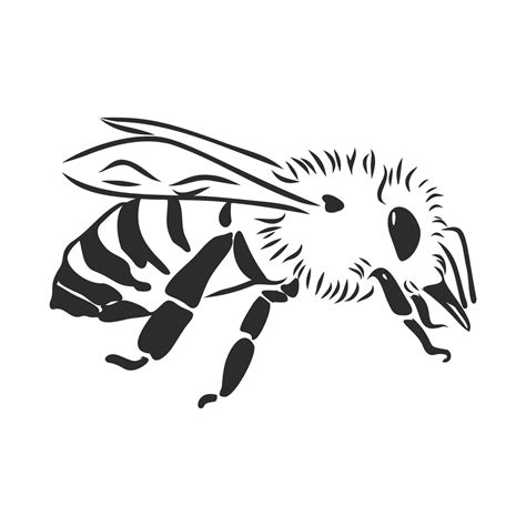 bee vector sketch 8686702 Vector Art at Vecteezy