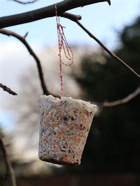 Vetbol Maken Zo Maak Je Simpel Zelf Vetbollen Voor De Vogels In Je Tuin