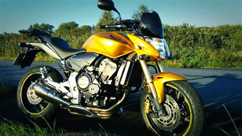 The Golden Honda CB 600 Hornet 2008 YouTube