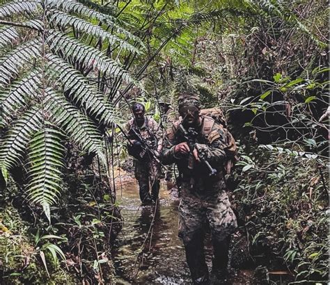 DVIDS Images 1SFG A Jungle Warfare Training Image 2 Of 6