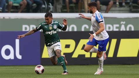 Botafogo Sp X Palmeiras Prov Veis Escala Es Onde Assistir E Arbitragem