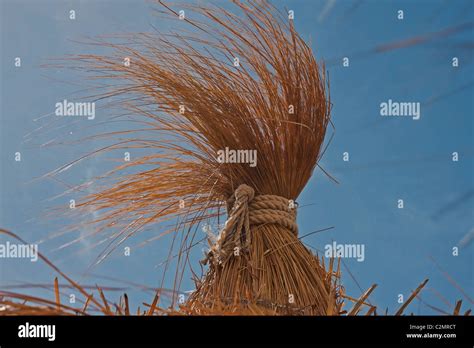 A Windy Day Stock Photo Alamy