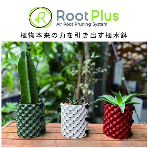 【楽天市場】植木鉢 ルートプラスポットミニ 1 5l （ブラウン ホワイト グリーン） 1個《北海道、沖縄、離島は別途送料がかかります。》代金