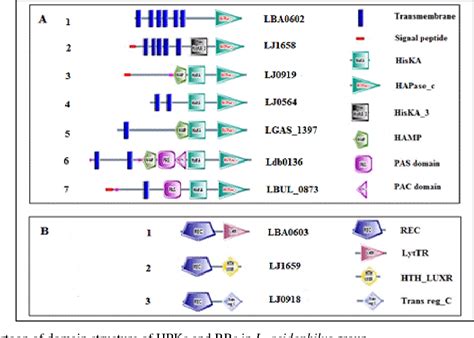 Figure 1 From Comparative Analysis Of Two Component Signal Transduction