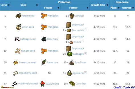 Runescape 3 1 99 Farming Guide