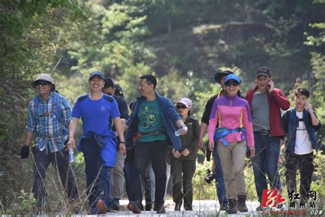 怀化最美徒步线路勘探队 走进靖州排牙山国家森林公园靖州县湖南频道红网