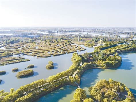 江苏盐城：生态修复网格管护 还原湖荡湿地风情