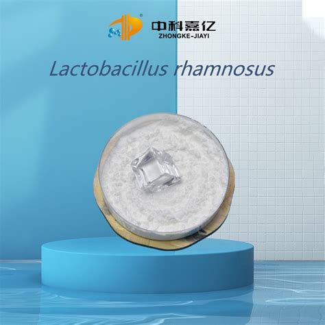 Blood Glucose Reducing Lactobacillus Rhamnosus Probiotic Powder