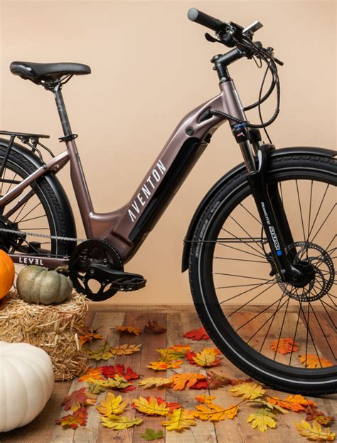 Electric Bike Ebikes Fixed Gear Bikes Aventon Bikes