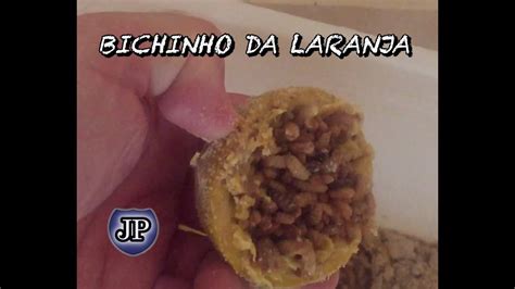 COMO FAZER BICHINHO DE LARANJA PARA PESCAR YouTube